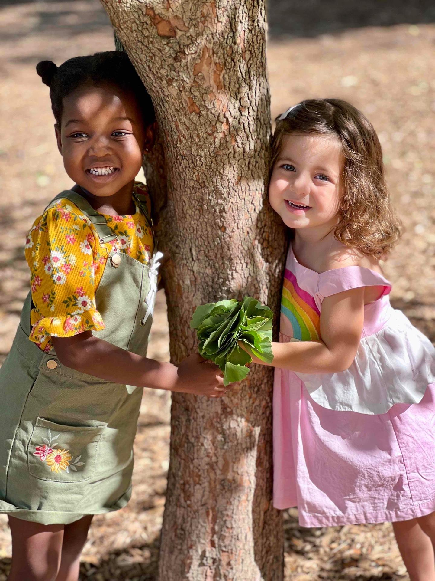 Preschool Outside Trees